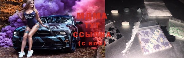 прущие грибы Алзамай