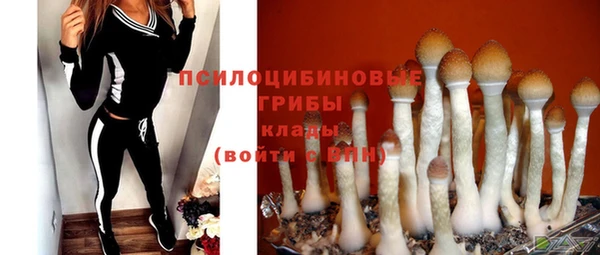 прущие грибы Алзамай