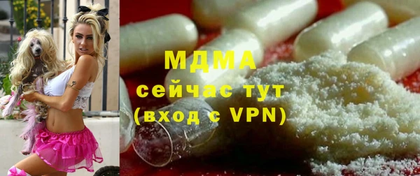 прущие грибы Алзамай