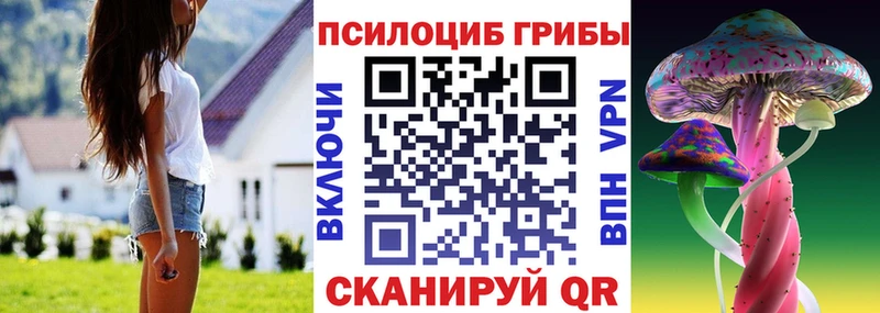 цены наркотик  Зеленоградск  Галлюциногенные грибы мухоморы 